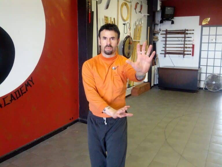 Pa Kua Single Palm Change