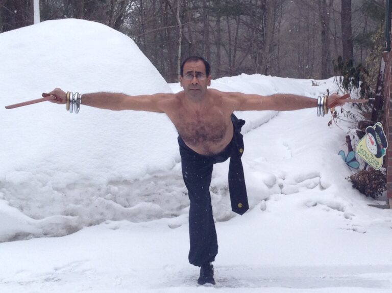 u2521.1425585149.Dragon20 20Phoenix20form1 768x575